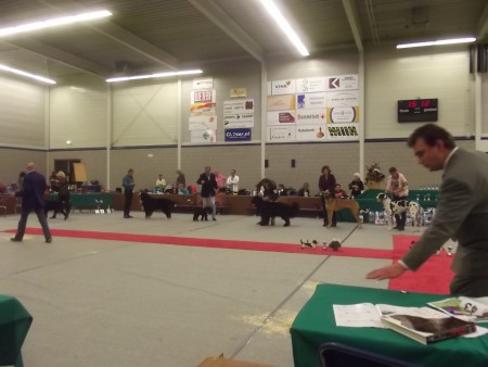 26-10-2014 CM KC Venray 1Ex-BOB- 2 Best In Group